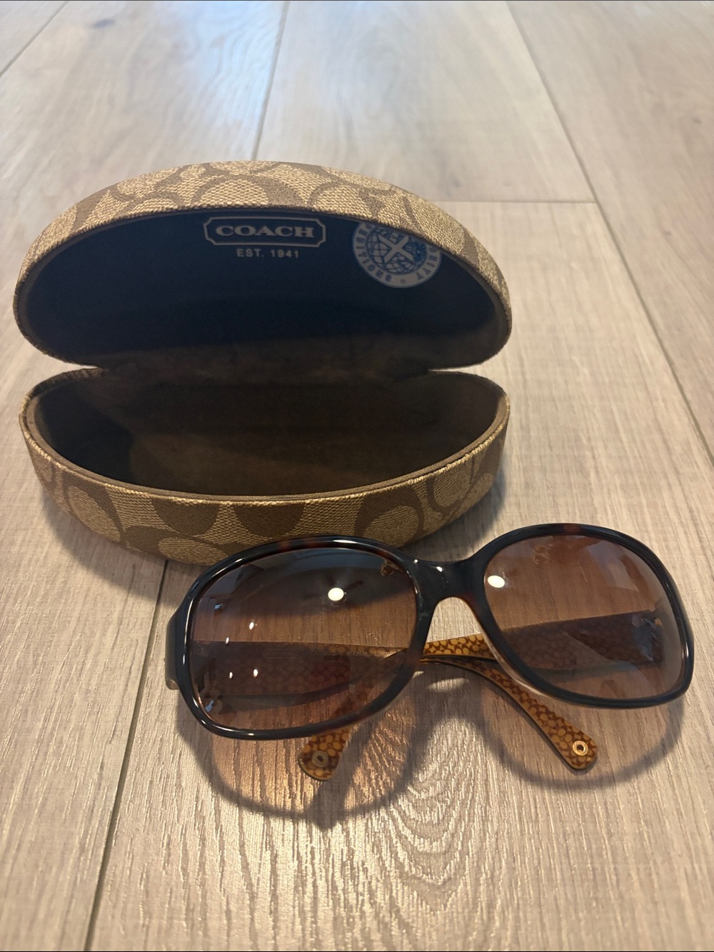 Coach Brown Gradient Oversized Sunglasses with Signature Logo Temples